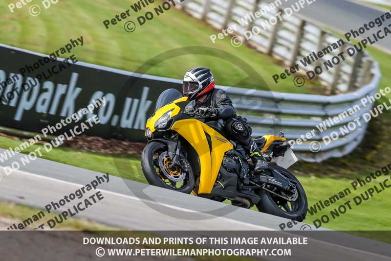 Oulton Park 21st March 2020;PJ Motorsport Photography 2020;anglesey;brands hatch;cadwell park;croft;donington park;enduro digital images;event digital images;eventdigitalimages;mallory;no limits;oulton park;peter wileman photography;racing digital images;silverstone;snetterton;trackday digital images;trackday photos;vmcc banbury run;welsh 2 day enduro